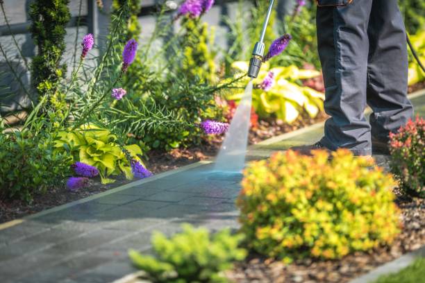 Best Dumpster Area Cleaning  in Chewelah, WA